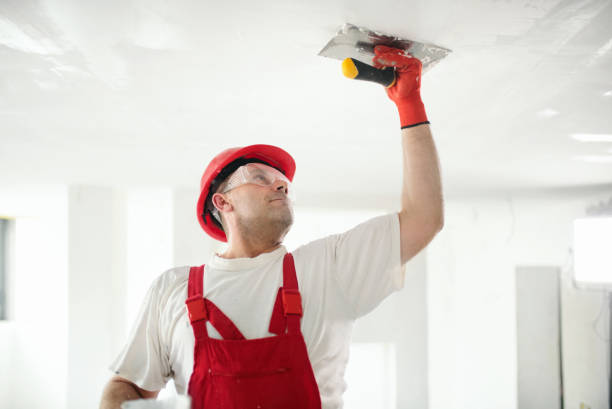 Best Ceiling Drywall Installation  in Poplar Cotton Center, CA